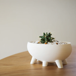 3Dプリント用データ　植物鉢 "Creature"