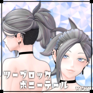 Two-Block Ponytail [3D Hair Model]