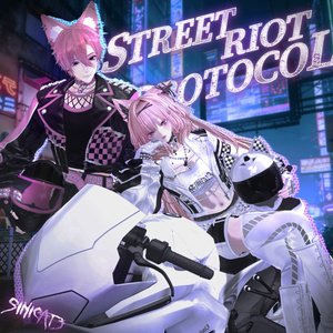 【27 Avatarsr】🤍𝐒.𝐂𝟏𝟔 STREET RIOT PROTOCOL🤍 缩略图 3
