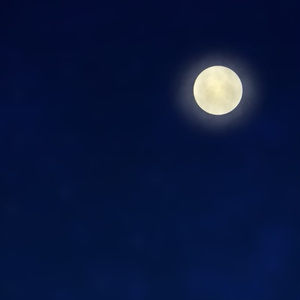 満月のAPNG（黄・青）
