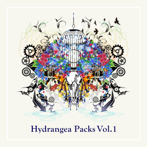 Hylen Hydrangea Packs Vol.1