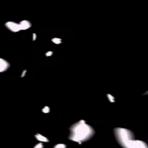 hanabira(pinku)_透過APNG