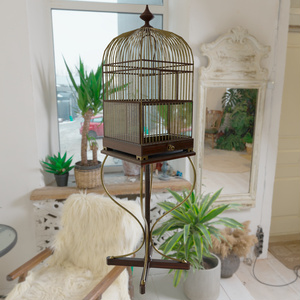 【CG Asset】birdcage 鳥籠