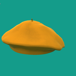 Beret Hat