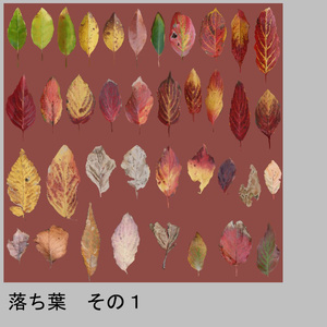 「落ち葉」【テクスチャー】