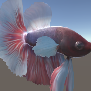 「ベタ（トウギョ）」【3Dモデル】