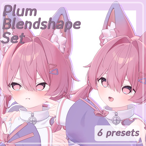 [プラム] Plum | Sweet and Sour Blendshape Set | 6 Presets