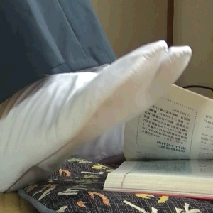 葵の日常6 - 足でページめくりの本読み - 2019-06-23