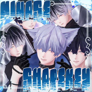 ADDHARD-Minase Shapekey 『 水瀬追加シェイプキー 』Supported languages 日本語 English 한국어