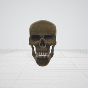 【3dモデル】骸骨　がいこつ