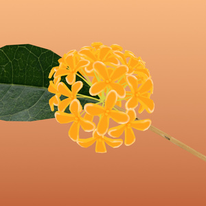 【3Dモデル】金木犀の花