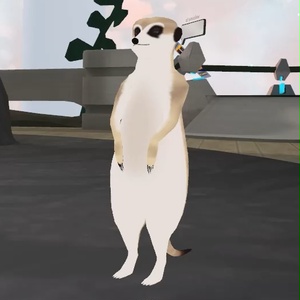 【VRChatアバター】ミーアキャット 缩略图 5