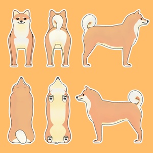 【VRChatアバター】柴犬（しばいぬ） 缩略图 2