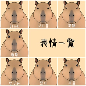 【VRChatアバター】カピバラ 缩略图 3