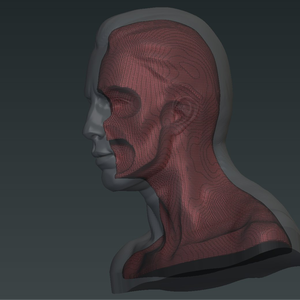 Zbrush用肉抜きシステム「Zoffset Generator」