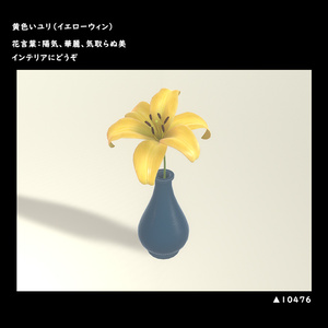黄色いユリ（イエローウィン）【BuiltIn】 缩略图 5