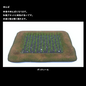 Rice field [BuiltIn].