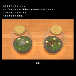 小さなテラリウム【BuiltIn】 缩略图 6
