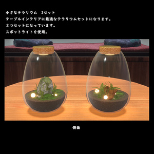 小さなテラリウム【BuiltIn】 缩略图 5