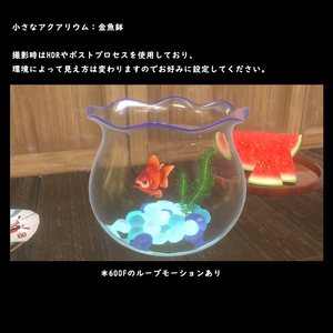 小さなアクアリウム　金魚鉢【BuiltIn】 缩略图 3