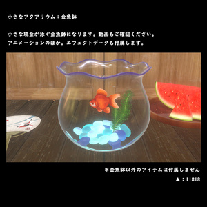 小さなアクアリウム　金魚鉢【BuiltIn】