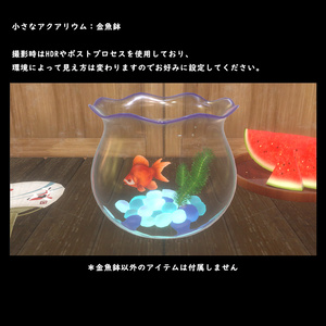 小さなアクアリウム　金魚鉢【BuiltIn】 缩略图 2
