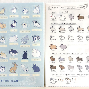 クリアファイル　カイウサギの品種 / うさぎのカラバリ