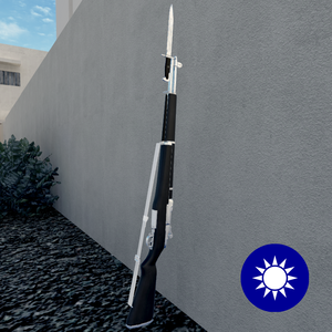 中華民國三軍儀隊M1禮賓槍 ROC M1 Drill Purpose Rifle