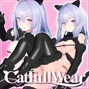 【桔梗想定】hide_CatFullWear.