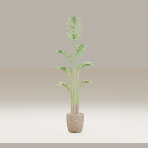 【3Dモデル】観葉植物 / areca palm アレカヤシ（OBJ・LWO）