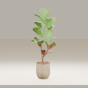 【3Dモデル】観葉植物 / fiddle leaf fig フィドルリーフ・フィグ（OBJ・LWO）