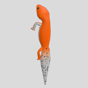 Leopard gecko body mascot 缩略图 4