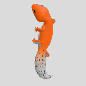 Leopard gecko body mascot 缩略图 3