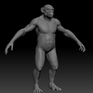 【ZBrush】チンパンジー　スカルプトデータ
