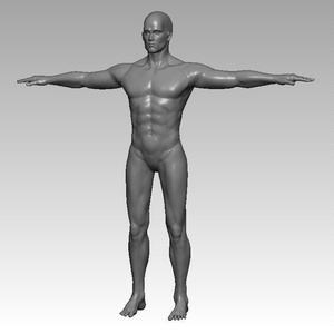 【ZBrush】男性素体スカルプトモデル