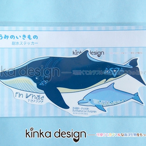 耐水ステッカー_ナガスクジラとミナミハンドウイルカ