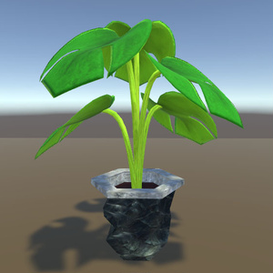 観葉植物(House Plants)