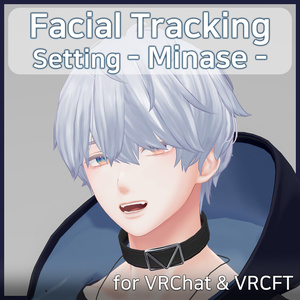 Minase(水瀬)'s FacialTracking Setting