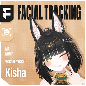 Kisha(キシャ)'s FacialTracking Setting