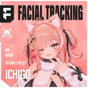 ICHIGO(イチゴ)'s FacialTracking Setting