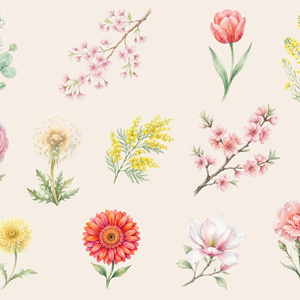 🌸 **水彩・春の花素材セット（背景透過PNG／13点）