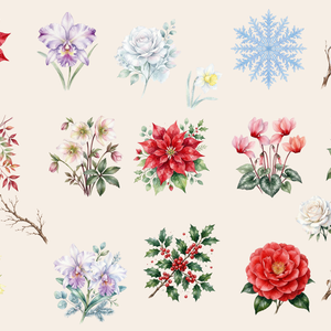 ❄️ 水彩・冬の花素材セット（背景透過PNG／18点）