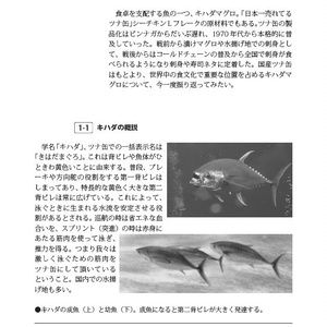 キハダという魚：ツナ缶の薄い本zu-mix vol.6