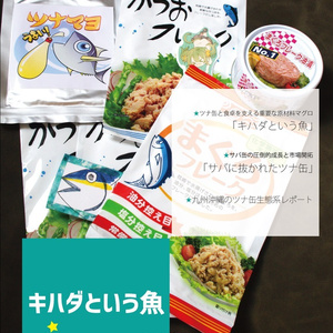 キハダという魚：ツナ缶の薄い本zu-mix vol.6