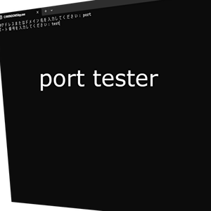 port tester