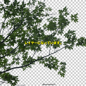 木の素材_No,07