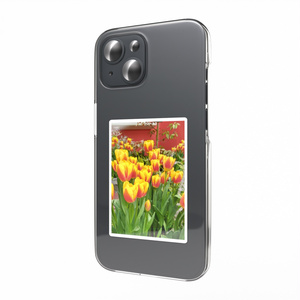 Tulip pattern sticker