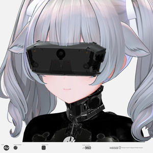 HMD3