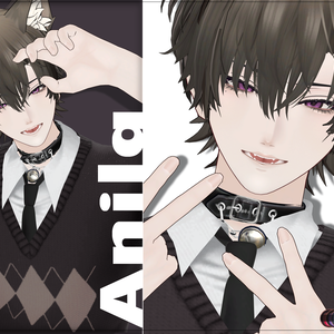 [ アニラ / Anila ] makeup + 11 eyes texture