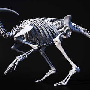 恐竜の骨　3Dモデルデータ